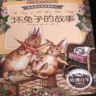 坏兔子🐰的故事