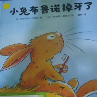 《小兔布鲁诺掉牙了》~幼稚绘晚安绘本故事