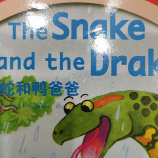 The Snake and the Drake