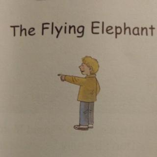 刘雨星The Flying Elephant