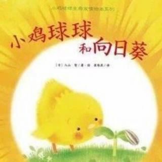 红黄蓝吾三岁——悠悠老师《小鸡球球和向日葵》