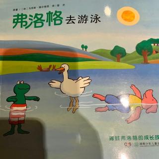 frog去游泳