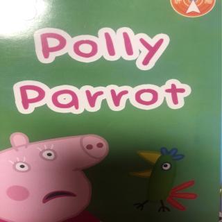 polly parrot