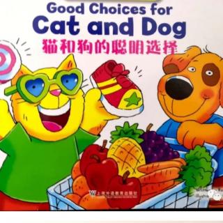 《Good choices for cat and dog》——耶鲁富川幼儿园