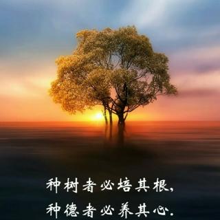 度尽劫波初心在,一饭一蔬总关情】在线收听_阳光049295_荔枝