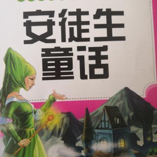 安徒生童话《卖火柴的小女孩》