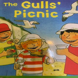 DD2-4 the gulls' picnic