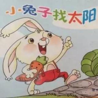 幼儿故事《小兔子找太阳》