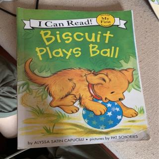 biscuit plays ball