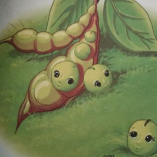 爱宝贝幼儿园第二届园长妈妈讲故事《五颗豌豆》