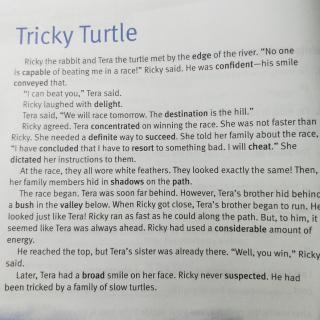 Tricky turtle