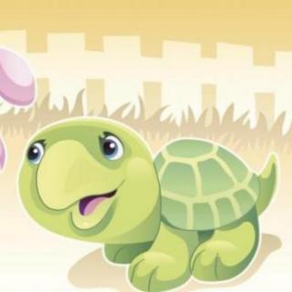 小乌龟找朋友