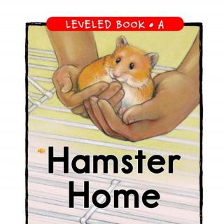 Hamster Home