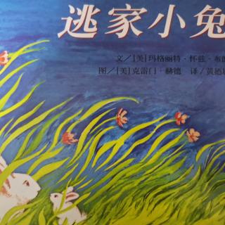 绘本故事《逃家小兔🐰》