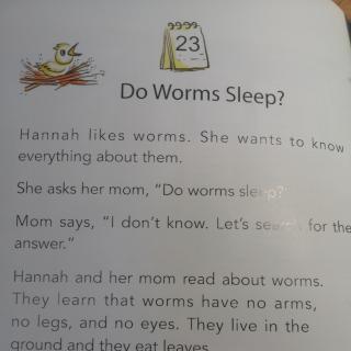 Do Worms Sleep?