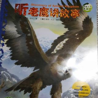 文化路幼儿园紫藤分园大一班孙博莹第72期《听👂老🦅讲故事》