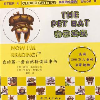 4-5 The pet bat