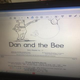 Dan and the bee