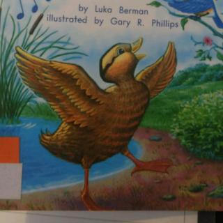 the singing duck