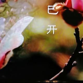 《初春》舒婷   诵读：马兰