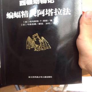 蝙蝠精灵阿塔拉法 第二部分