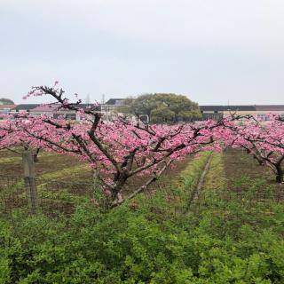 生活是多么广阔 何其芳