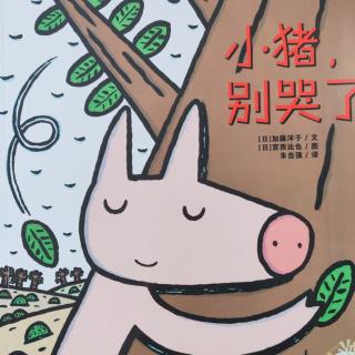 小猪🐷别哭了