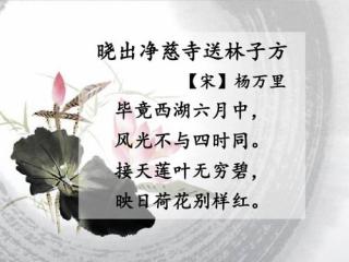 恬恬妈妈讲故事——学古诗《晓出净慈寺送林子方》