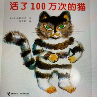 活了100万次的猫