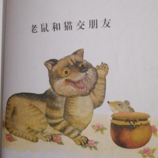 《老鼠和猫交朋友》