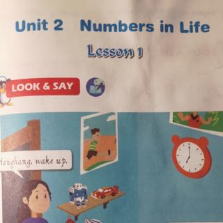 numbers in life