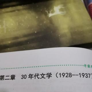 第二章 30年代文学   第二节茅盾