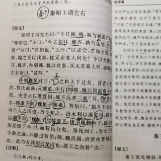 战国策31•秦策19•秦昭王谓左右