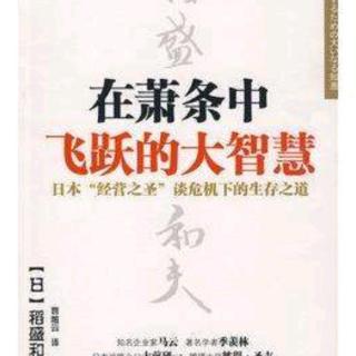 《在萧条中飞跃的大智慧》中文版序