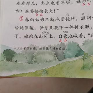 二年级语文下册《笋芽儿》