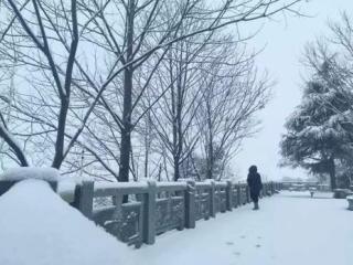 沁园春.雪