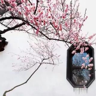 雪花从我身体滑过（组诗） 作者 刘昌斌 主播 一缕幽兰