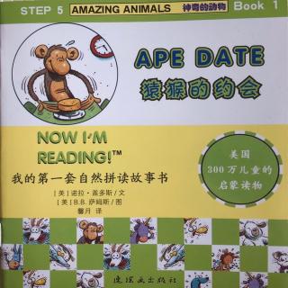 5-1 Ape date
