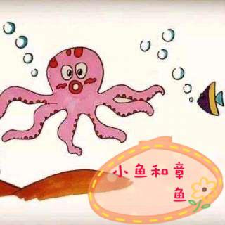 【海贝睡前故事】小鱼和章鱼🐙