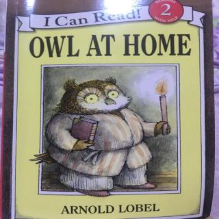 《Owl At Home（Strange Bumps）》
