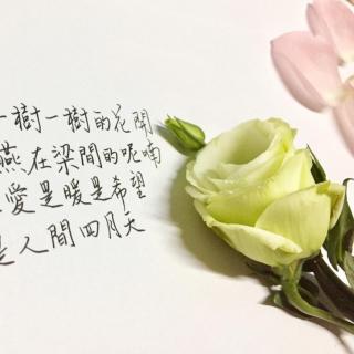 《你是人间的四月天》林徽因，诵读/晓月