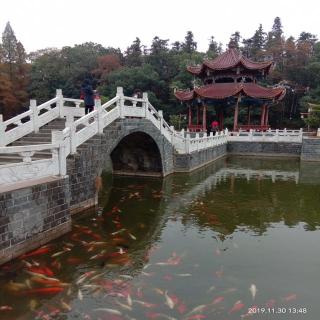 遇见 - 梅兰竹菊🍹🏊