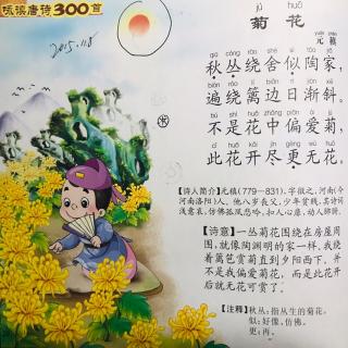 二年级古诗菊花图片