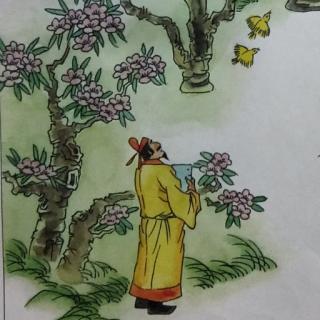 希希读古诗《大林寺桃花 白居易》