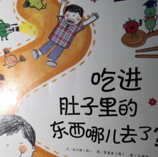 吃进肚子里的东西哪儿去了？