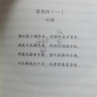 人生五味《遣悲怀一》