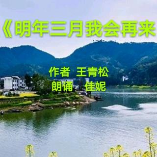 《明年三月我会再来》作者王青松朗诵佳妮