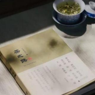 《茶之路—云南普洱》（茶山远在时光中1）