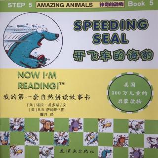 5-5 Speeding seal
