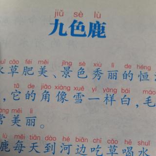 殷老师亲子朗读《九色鹿》